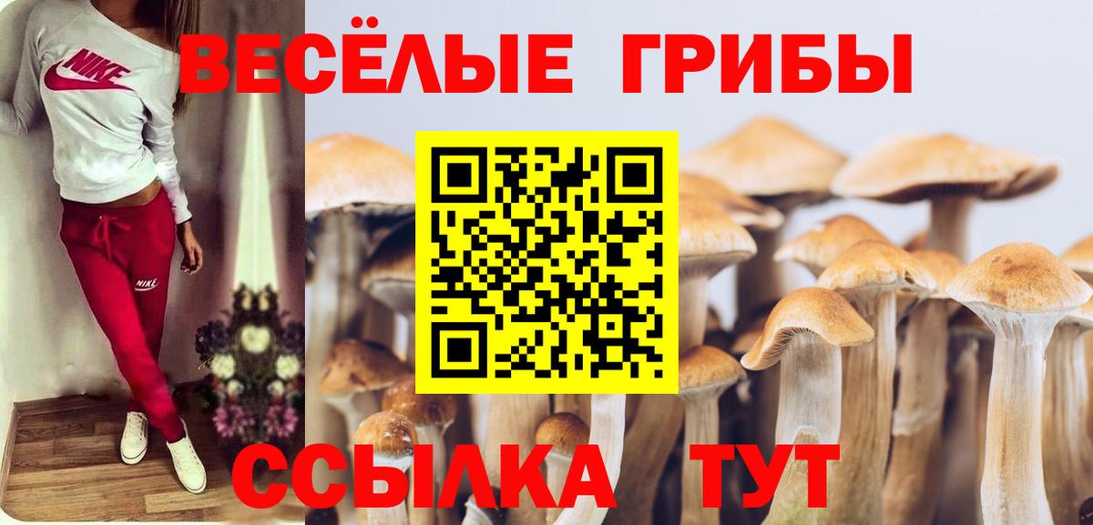 Cocaine  Гашиш  Братск  Меф кристаллы  Марихуана  Вход с VPN 